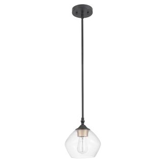 Transparent glass single head chandelier