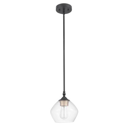Transparent glass single head chandelier