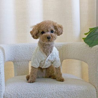 Quilted cotton jacket for small dogs