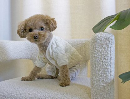 Quilted cotton jacket for small dogs - Image 4