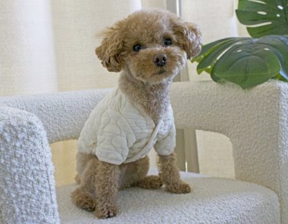 Quilted cotton jacket for small dogs - Image 3