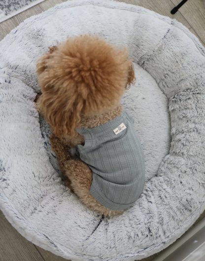 Cute Pet Carrier - Image 2