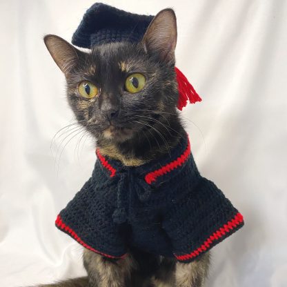 Cat graduation suit - Image 7