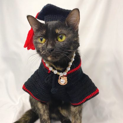 Cat graduation suit - Image 6