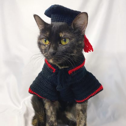 Cat graduation suit - Image 5