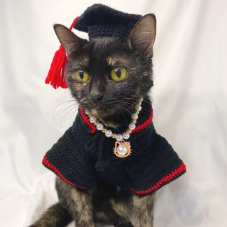 Cat graduation suit