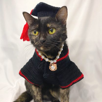 Cat graduation suit - Image 3