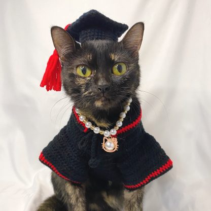 Cat graduation suit - Image 2