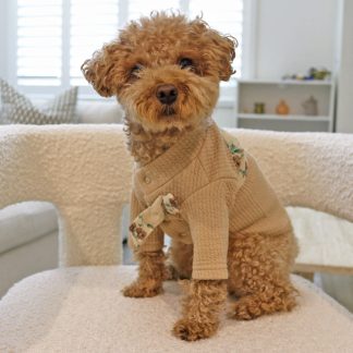 Pet Chanel Style Sweater