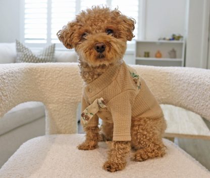 Pet Chanel Style Sweater