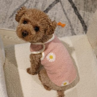 Cute Daisy Pet Clothes