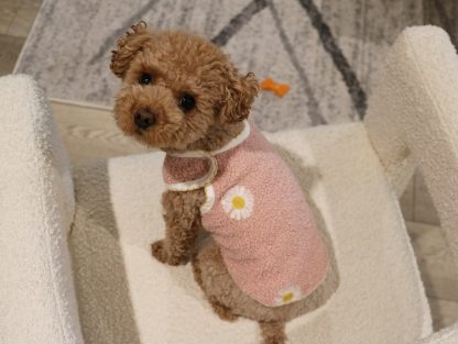 Cute Daisy Pet Clothes