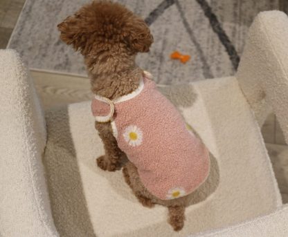 Cute Daisy Pet Clothes - Image 3