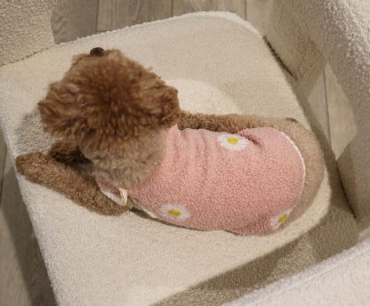 Cute Daisy Pet Clothes - Image 2