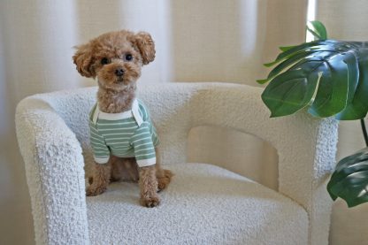 Dog striped sweater - Image 4