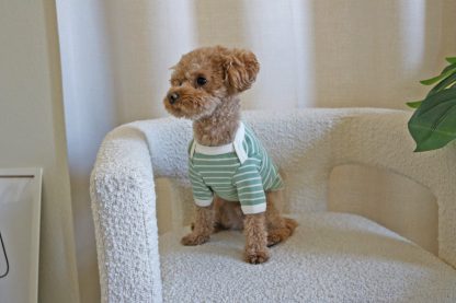 Dog striped sweater - Image 3