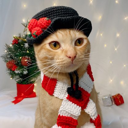 Snowman Cat Hat and Scarf Set - Image 4