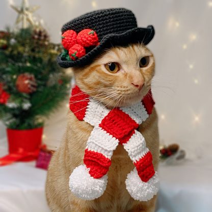 Snowman Cat Hat and Scarf Set - Image 3
