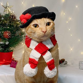 Snowman Cat Hat and Scarf Set