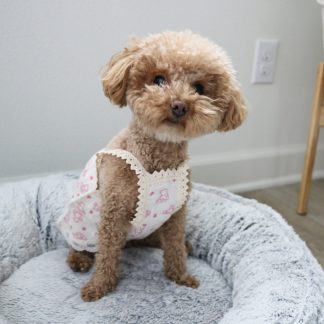 Cute Pet Style Suspender Dress