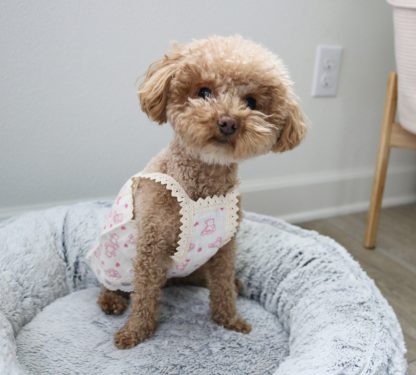 Cute Pet Style Suspender Dress