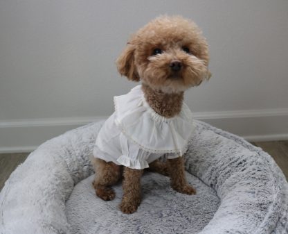 Ruffled cotton shirt