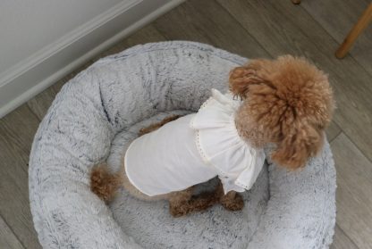 Ruffled cotton shirt - Image 3