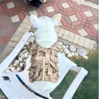 Camouflage pet vest