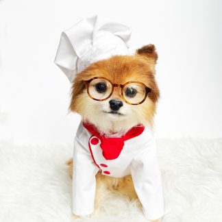 Cute pet chef uniform set