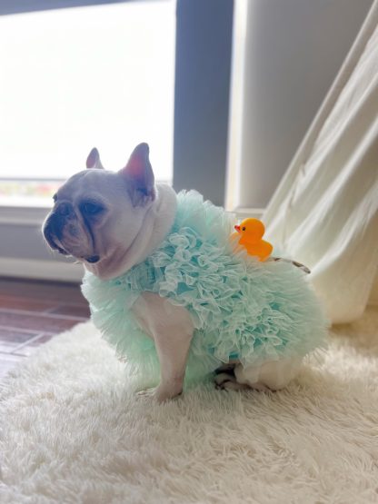 Bath Loofah Pet Dog Cat Clothing - Image 5