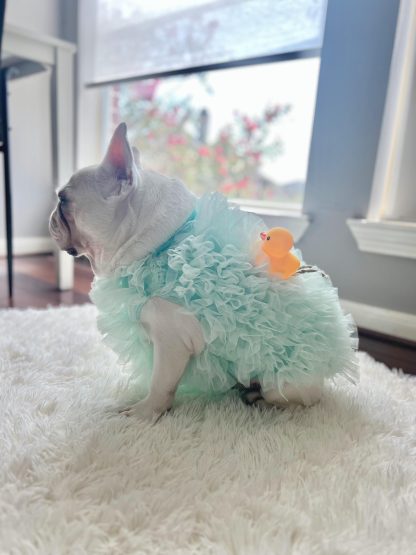 Bath Loofah Pet Dog Cat Clothing - Image 4
