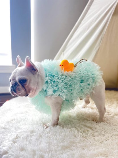 Bath Loofah Pet Dog Cat Clothing - Image 3