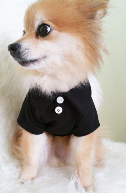 Pet Simple Style Solid Color Button Top