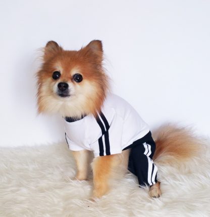 Pet sports style four-legged clothes - Image 3