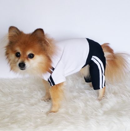 Pet sports style four-legged clothes