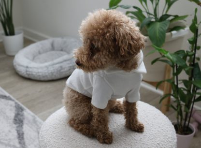Soft Collar T-Shirt for Small and Medium Dogs - Image 5