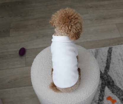 Soft Collar T-Shirt for Small and Medium Dogs - Image 4