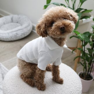 Soft Collar T-Shirt for Small and Medium Dogs