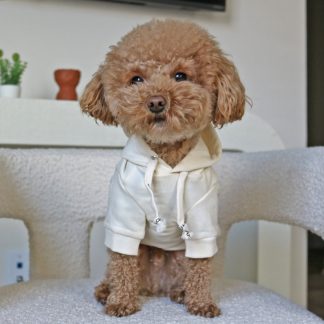 Pet hooded sweatshirt