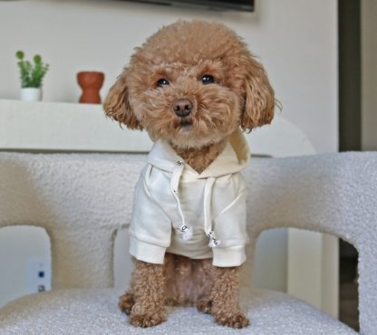 Pet hooded sweatshirt
