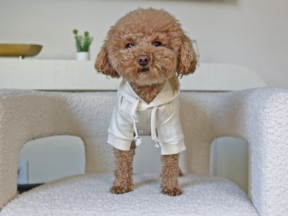Pet hooded sweatshirt - Image 2