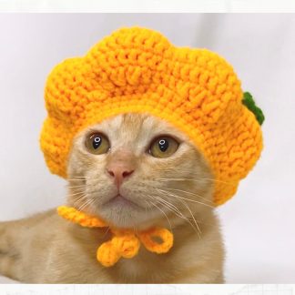 Cute Crochet Cat Pumpkin Hat