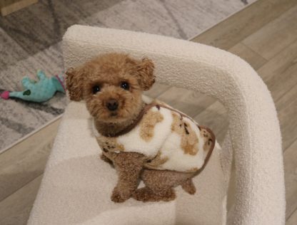Cute Bear Pattern Pet Fleece