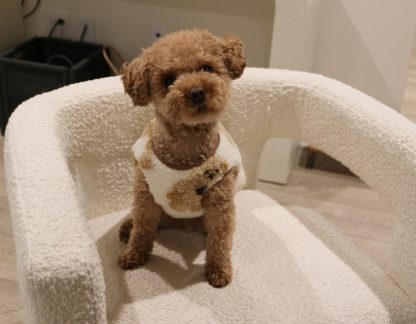 Cute Bear Pattern Pet Fleece - Image 2