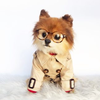 Pet British style windbreaker