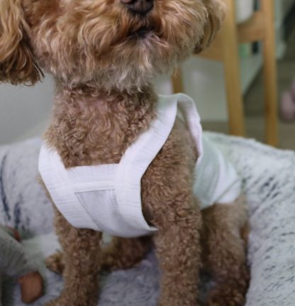 Dog Cotton Vest - Image 5