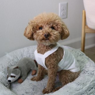 Dog Cotton Vest