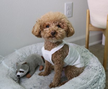 Dog Cotton Vest