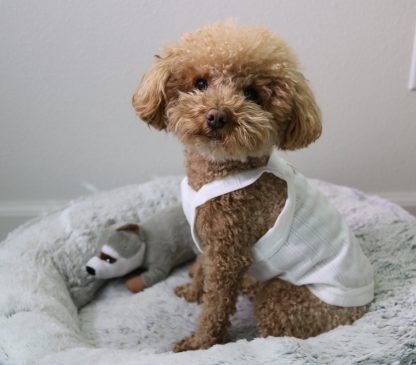 Dog Cotton Vest - Image 2