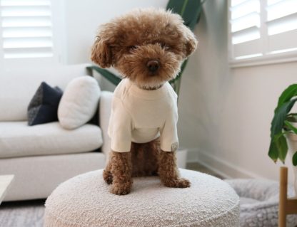 Dog Soft Cotton Crew Neck T-Shirt